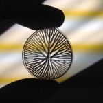 3D printed organic shape