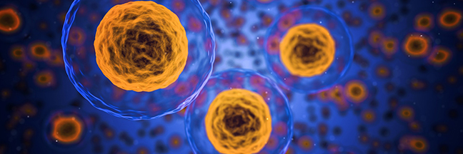 human tissue and cells