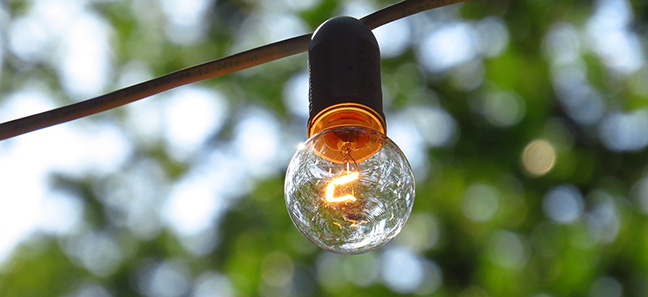 lightbulb