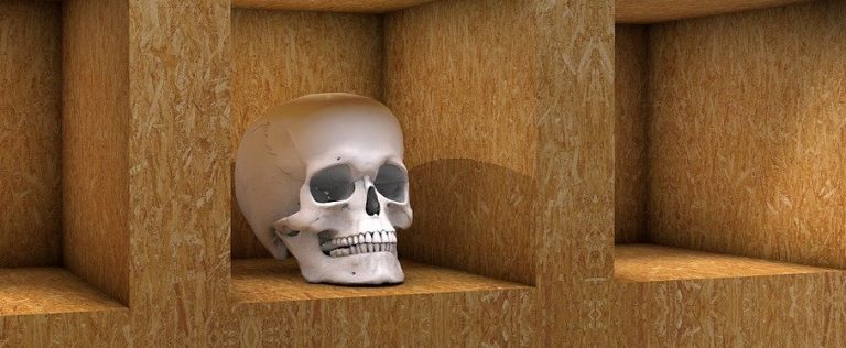 3D Laser Scanning with Skulls