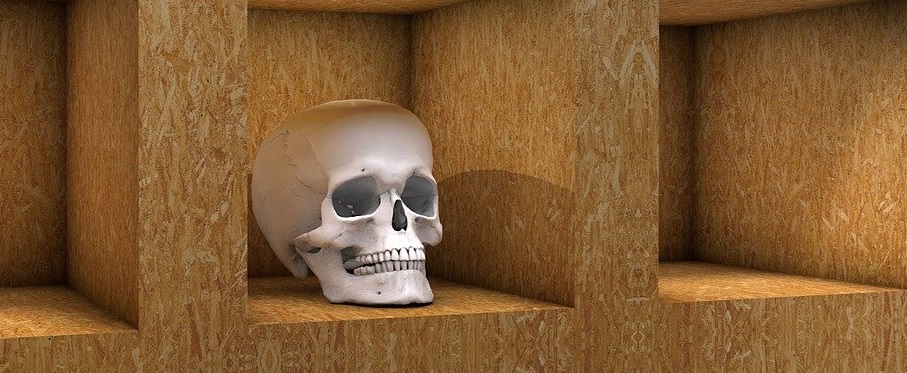 3D Laser Scanning with Skulls