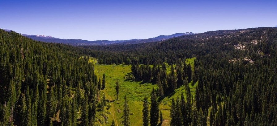 Sierra National Forest - Researchers Using 3D Laser Scanning Services